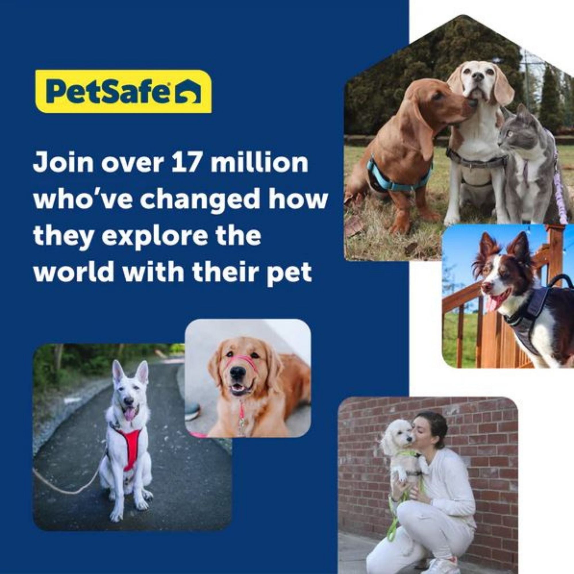 Petsafe Dog Gentle Leader Head Collar Royal Blue Small