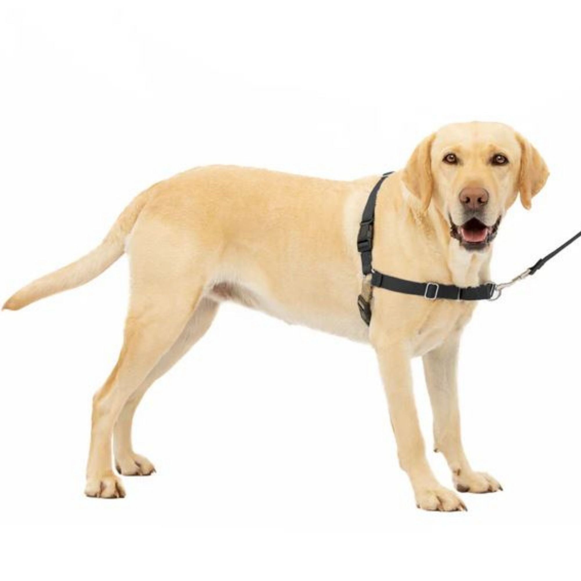 Petsafe Dog Easy Walk Harness Black Large