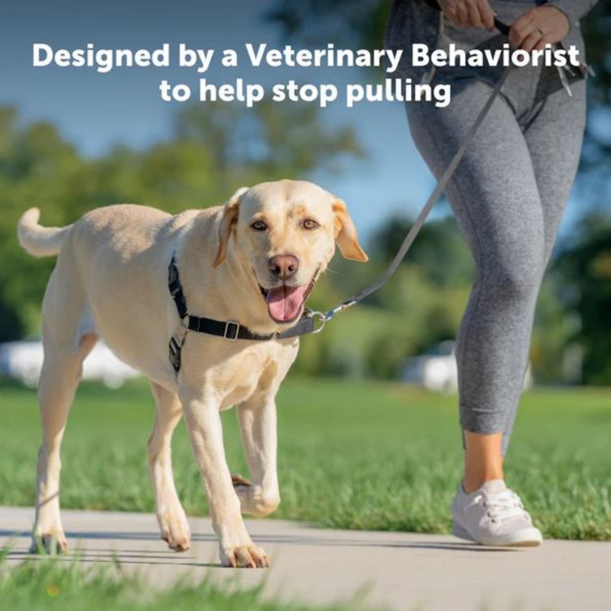 Petsafe Dog Easy Walk Harness Black Medium / Large