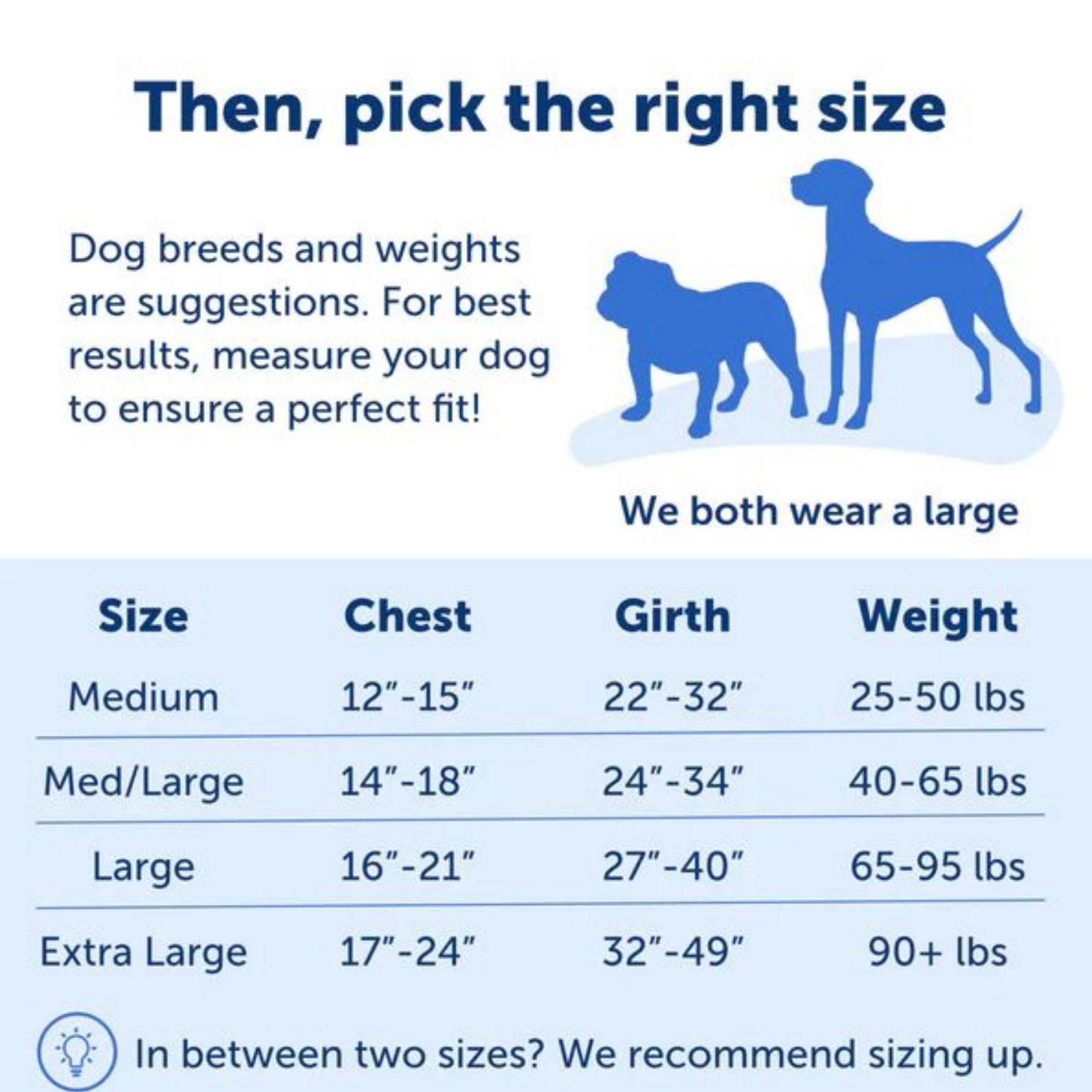 Petsafe Dog Easy Walk Harness Black Medium / Large