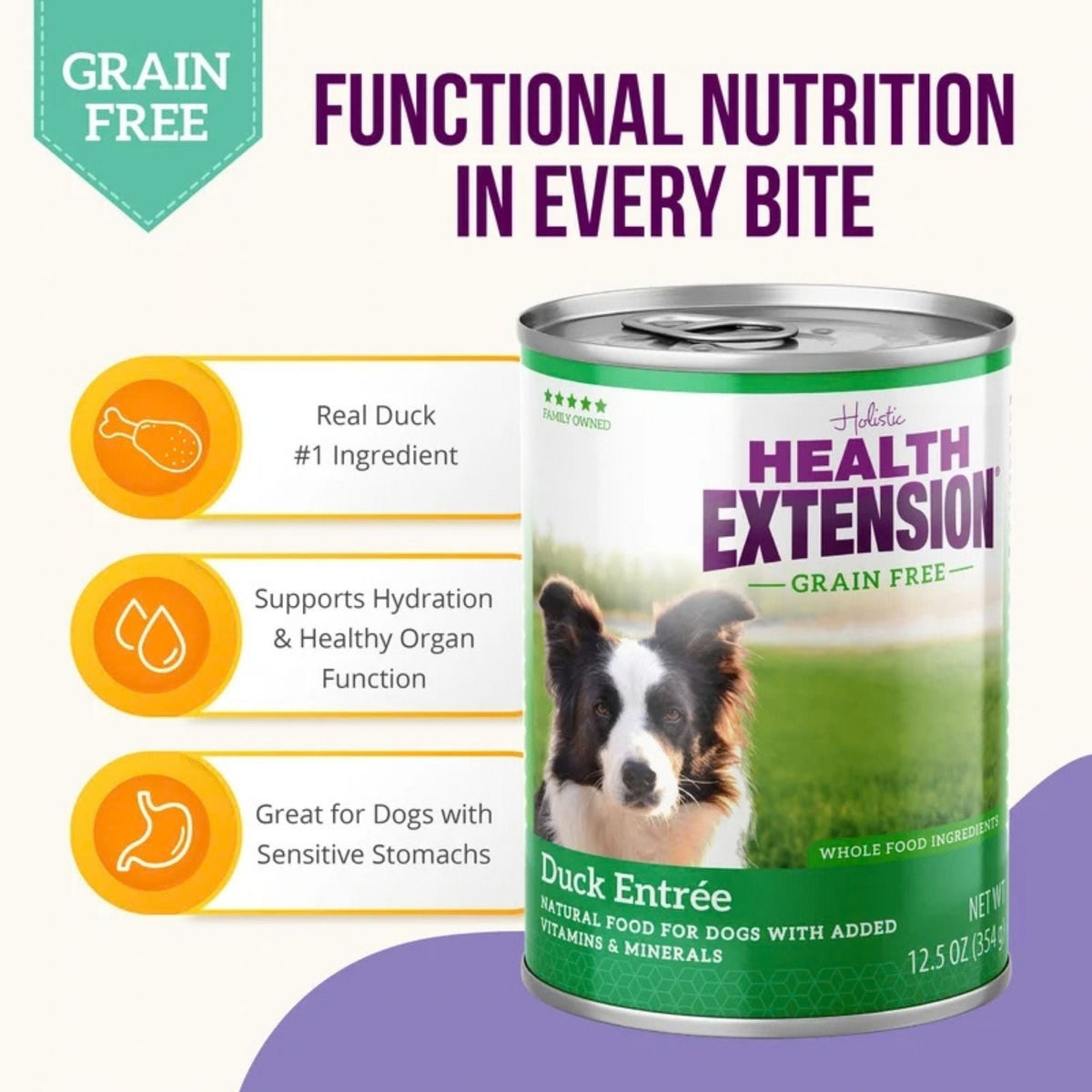 Health Extension Duck Canned Dog Food 12.5oz. (Case of 12)