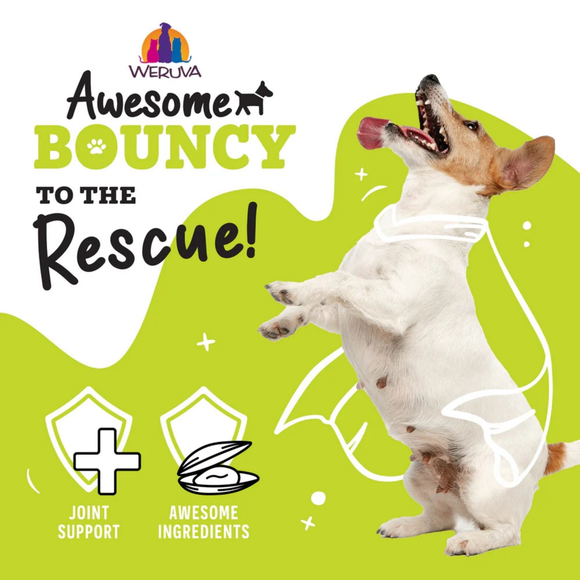 Weruva Dog Bouncy Chicken & Veggie 14oz.  (Case of 10)