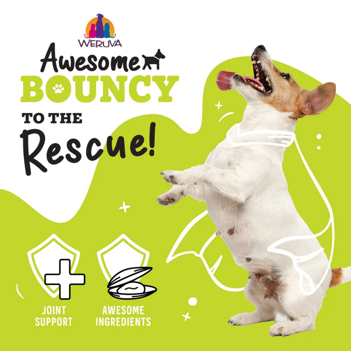 Weruva Dog Bouncy Chicken & Veggie 6oz. (Case of 8)