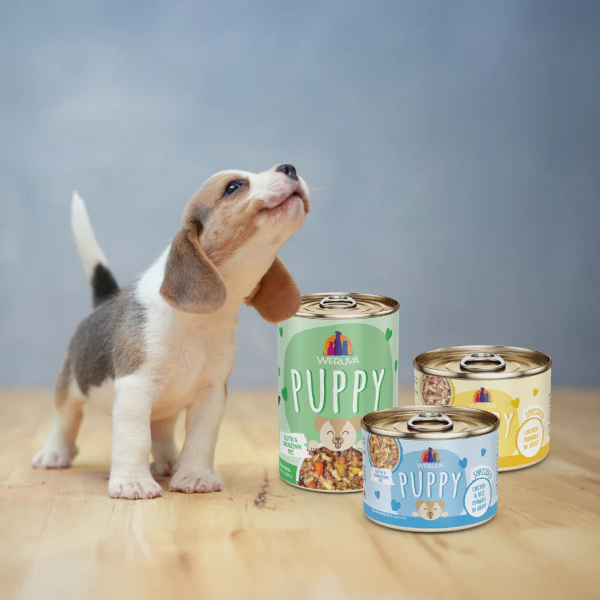 Weruva Dog Puppy Chicken Formula 14oz. - (Case of 10)