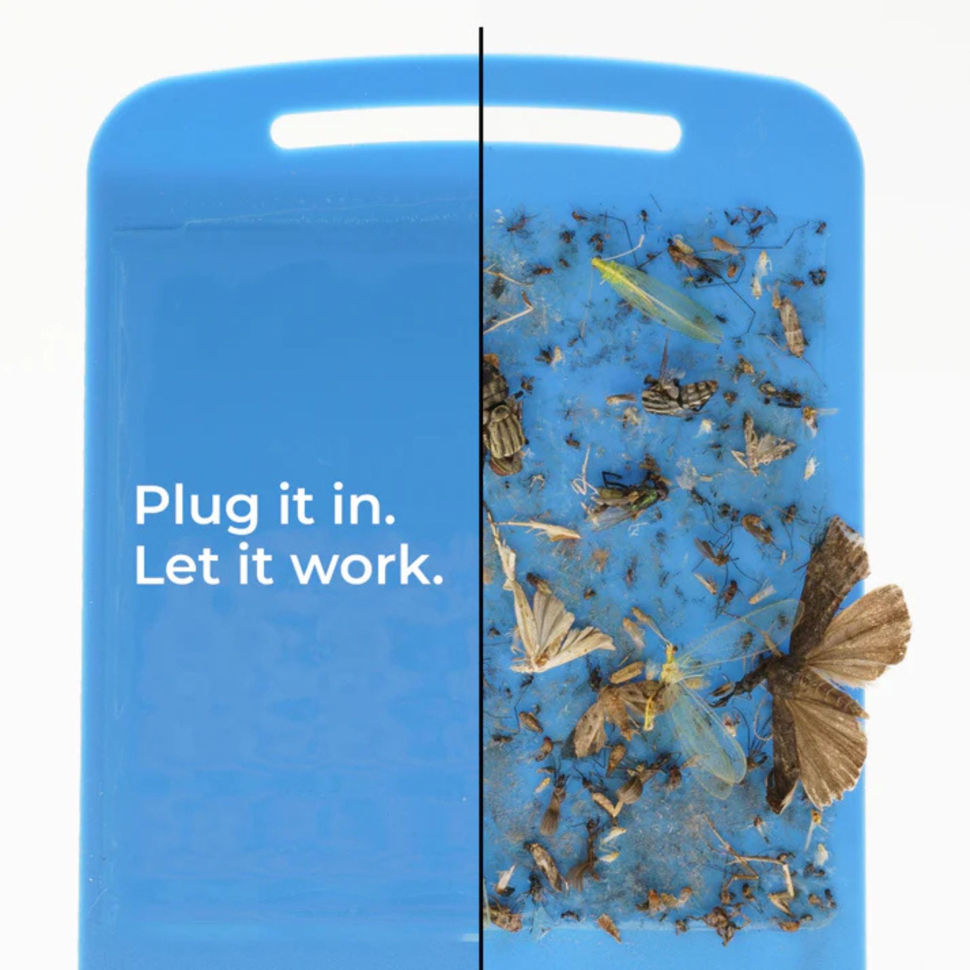 Wondercide Flying Insect Trap Light Starter Kit