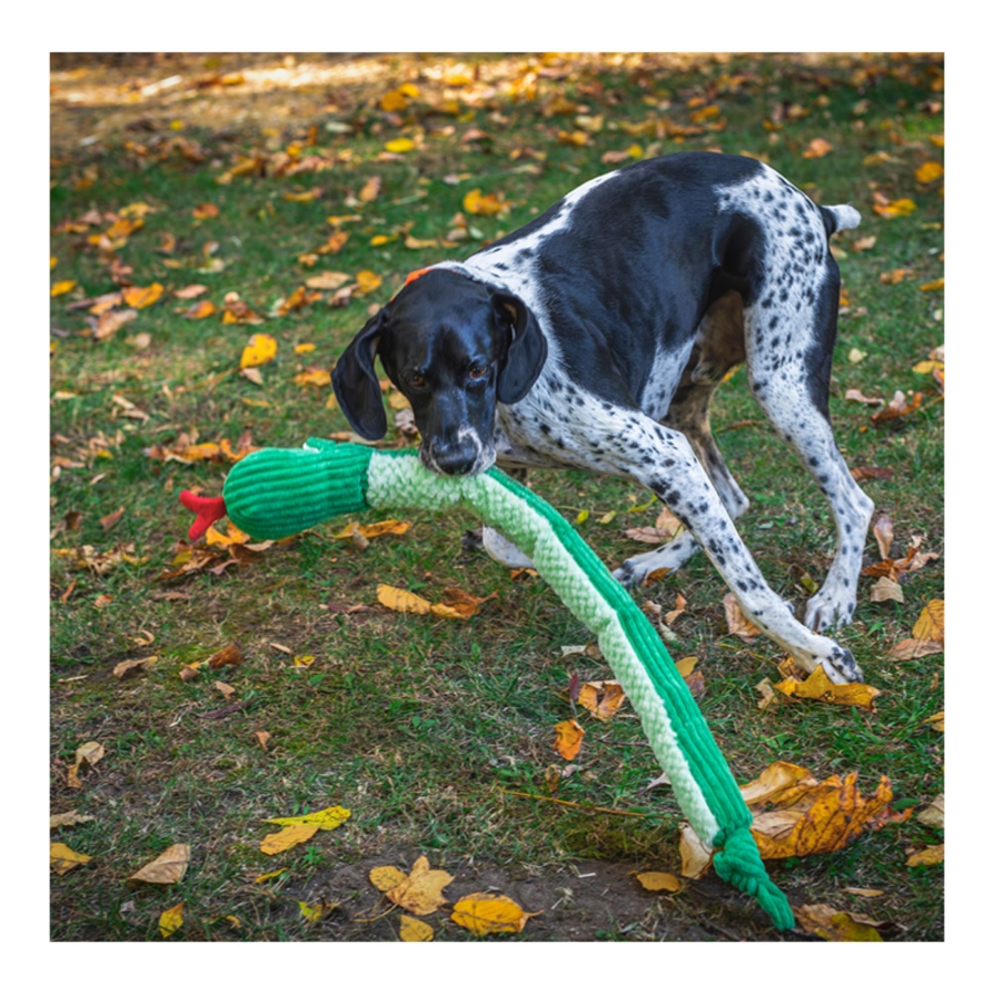 Hugglehounds Dog Knottie Sir Squeaks - A - Lot Snake Large