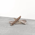 Primal Dog Stag Antler Large Default Title