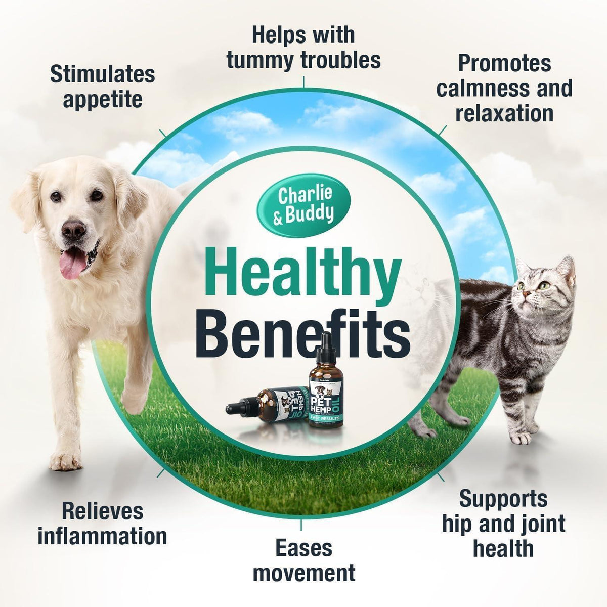 Hemp Оil for Dogs Cats   Helps Pets with Аnxiеty Pаin Strеss Slееp Аrthritis Sеizures Rеlief   Нiр Jоint Hеalth   2Pack