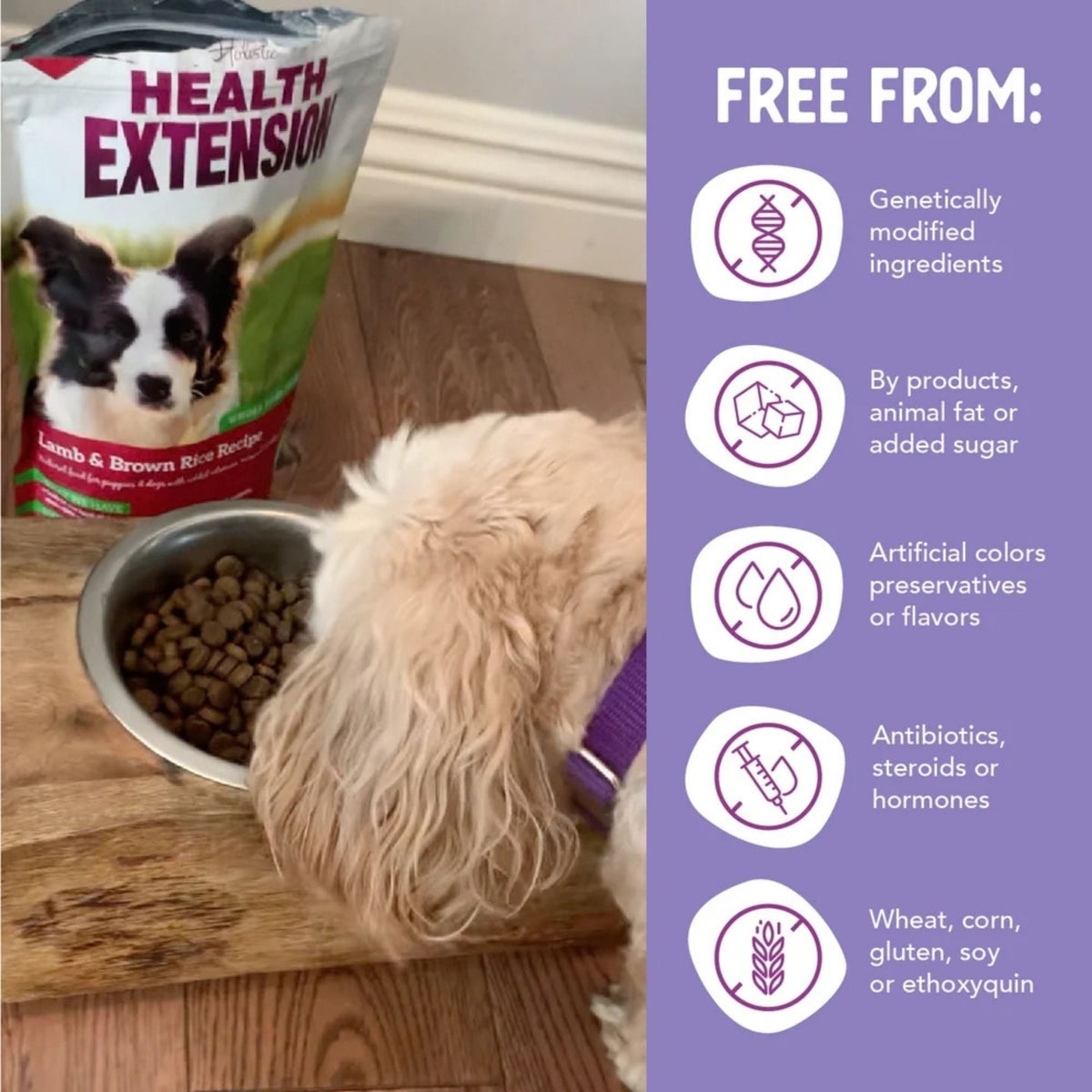 Health Extension Lamb & Brown Rice 15lb.