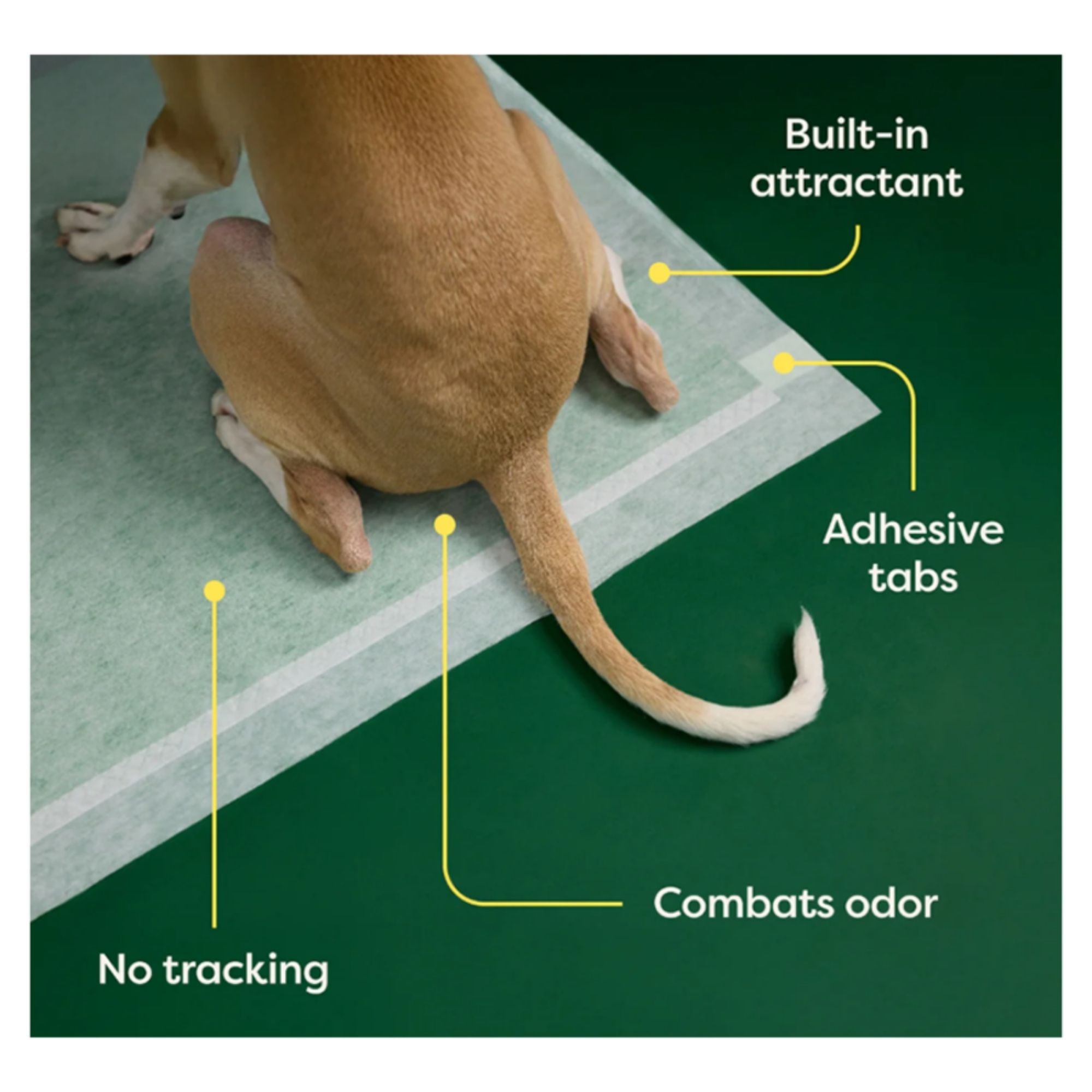 Earth Rated Dog Max Absorbency Puppy Pee Pads Extra Large 28” X 34” - 25 Count