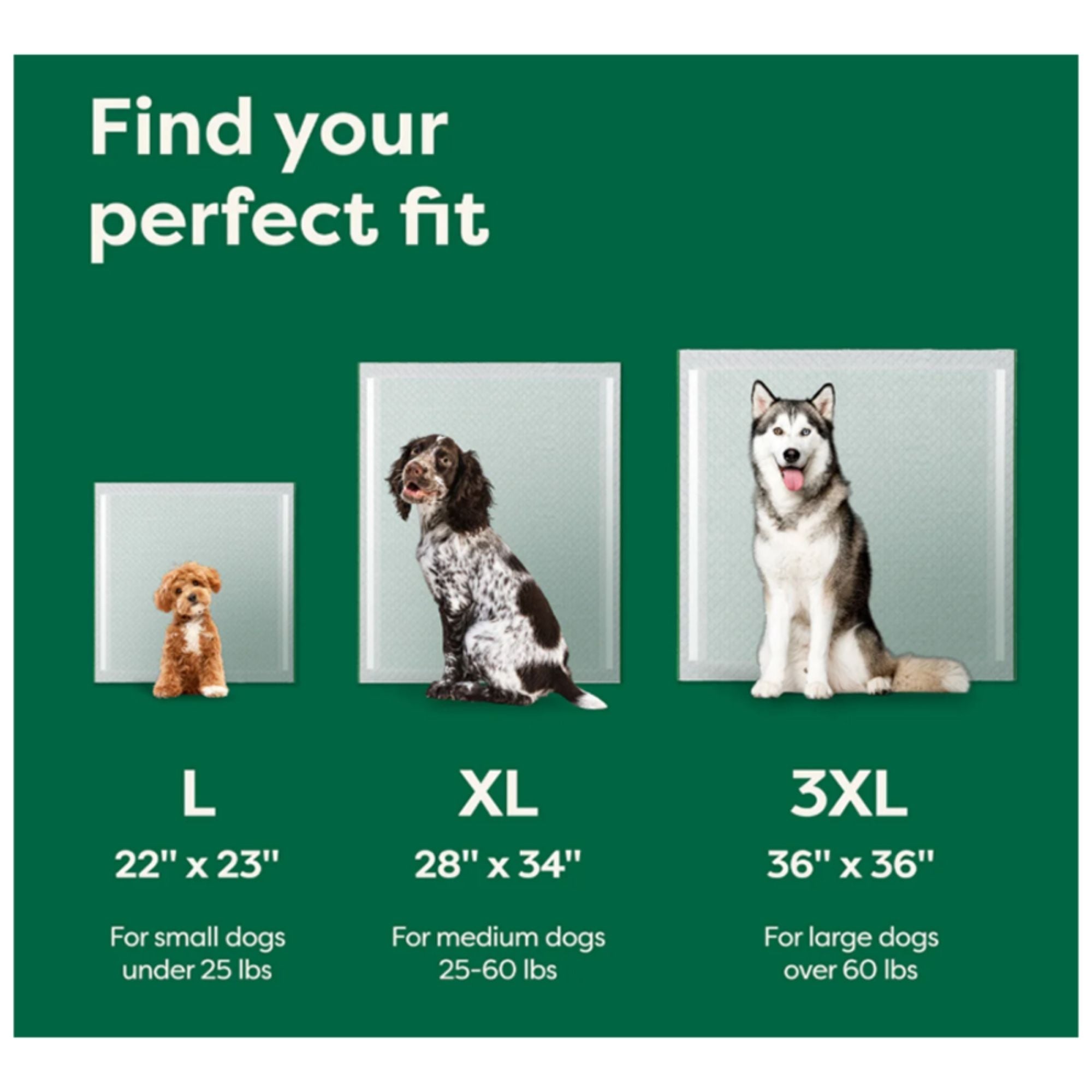 Earth Rated Dog Max Absorbency Puppy Pee Pads Xxxlarge 36” X 36” - 14 Count