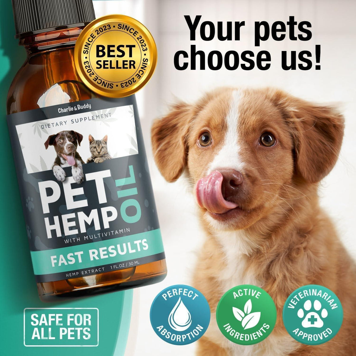 Hemp Оil for Dogs Cats   Helps Pets with Аnxiеty Pаin Strеss Slееp Аrthritis Sеizures Rеlief   Нiр Jоint Hеalth   2Pack