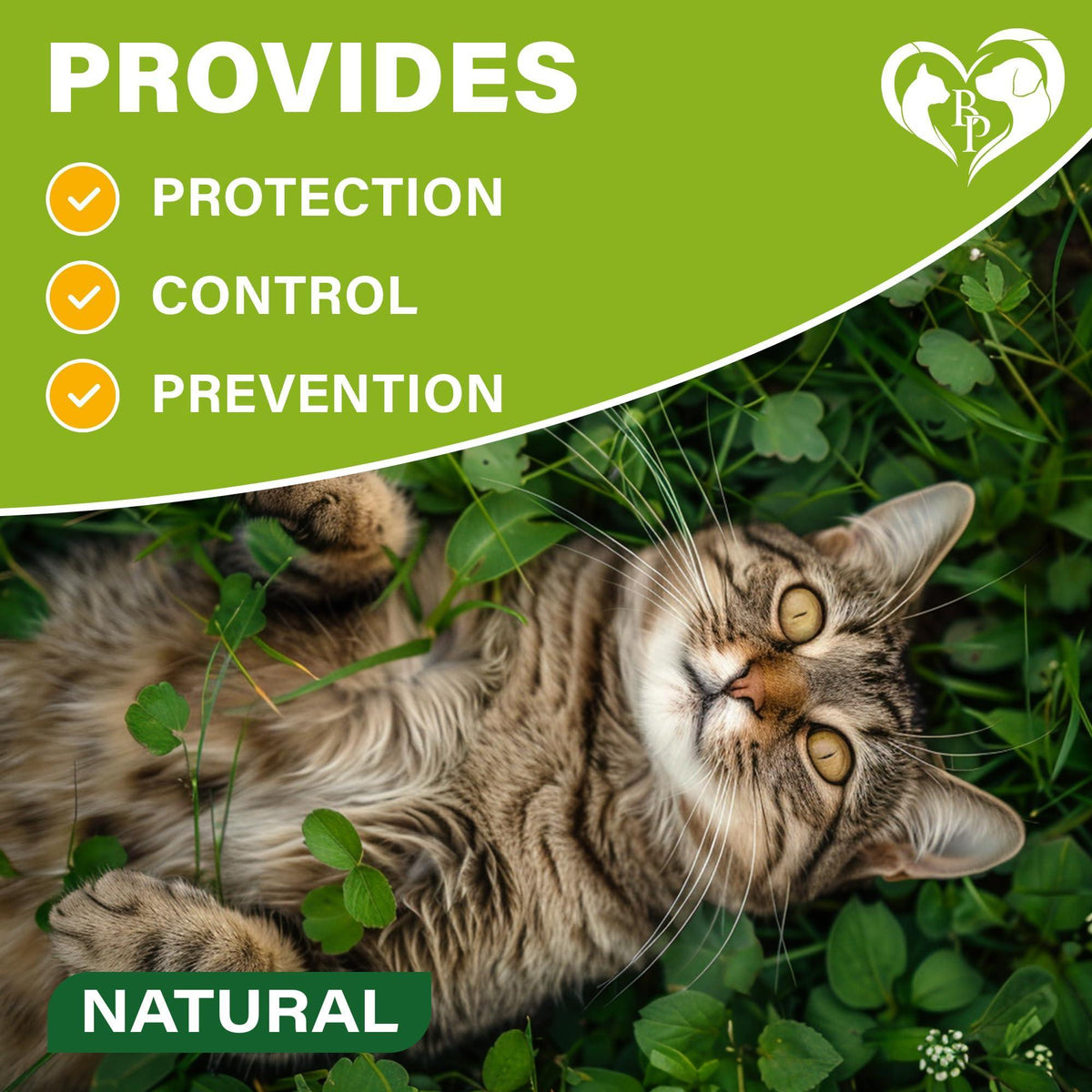 Flea & Tick Collar for Cats 6-Month Protection Essential Oil Repellent 1 Pack