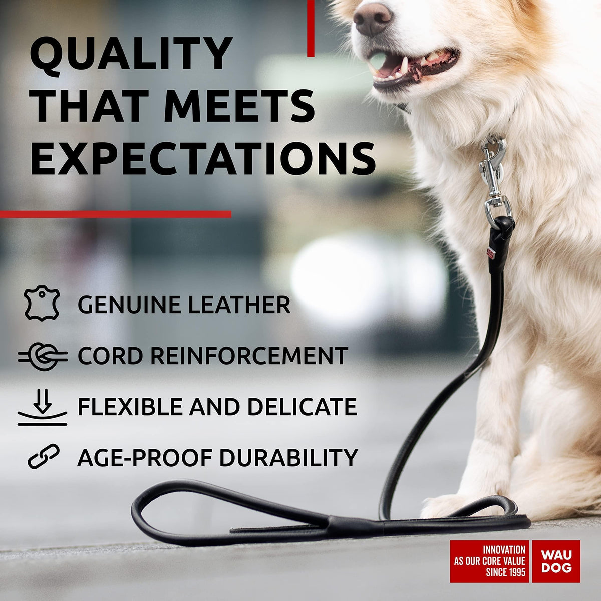 Rolled Leather Dog Leash 4 ft x 0.4 in All Sizes Black