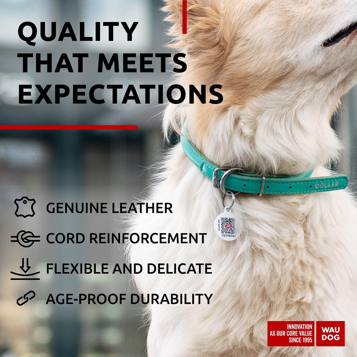 Mint Color Ultra Soft Rolled Leather Dog Collar 18-21 in Neck Soft Padded Dog Collars for Medium Dogs Puppy Collars for Large Breed Dogs Male and Female Dog Coll