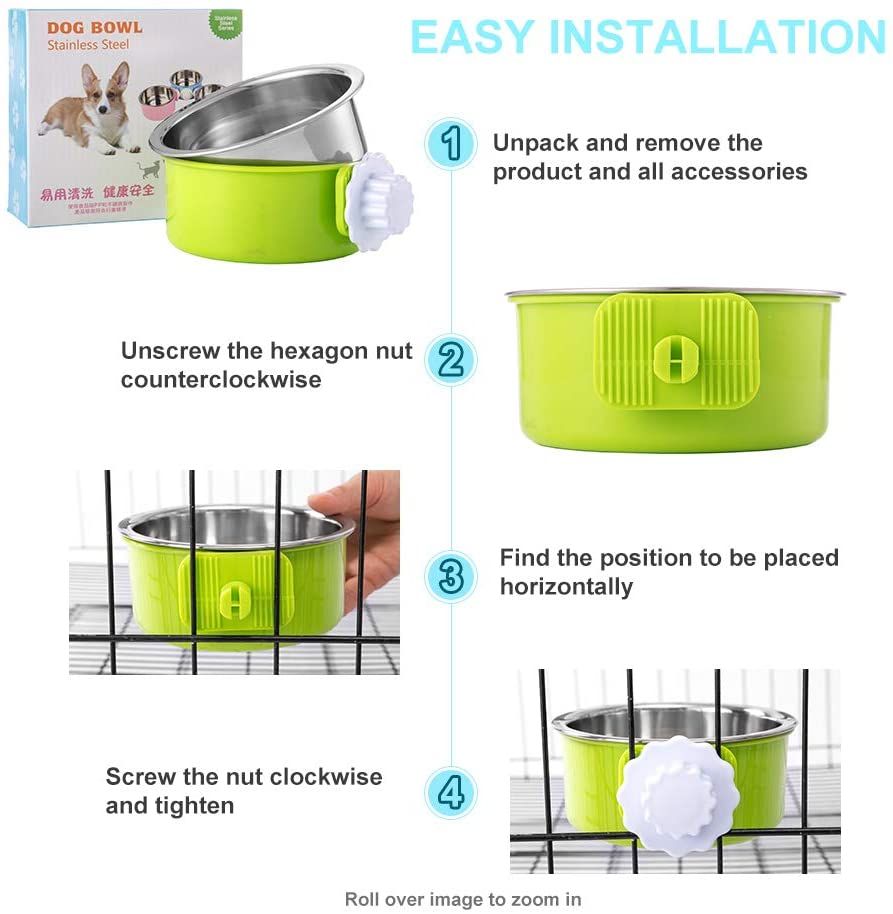 523561981