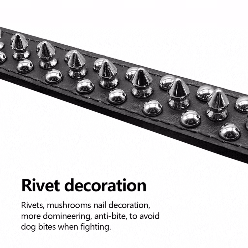 523530541
