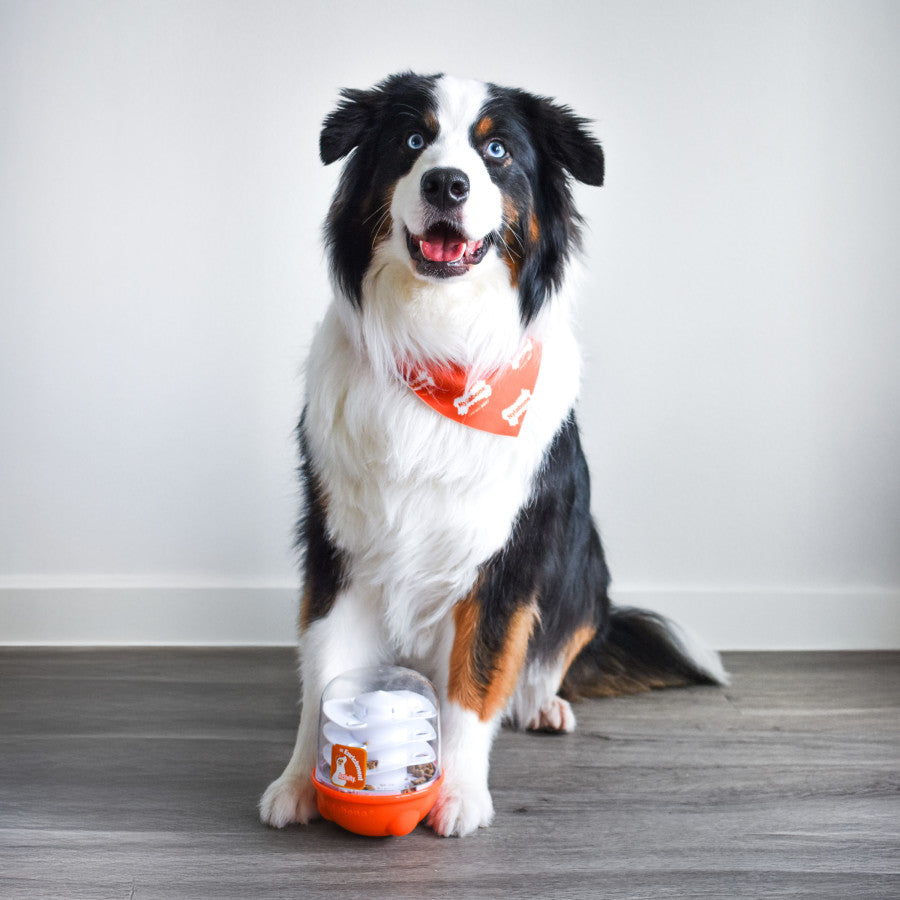 Nylabone Boop N Bobble Puzzle Treat Toy
