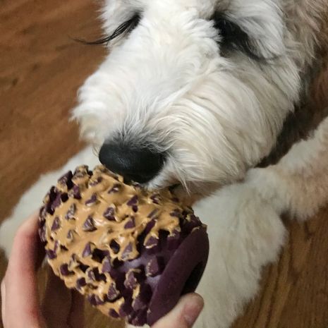 Tall Tails Dog Enrichment Antler & Pinecone 15 Inches