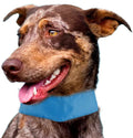 Pet Life Summer Cooling Adjustable Ice Pack Dog Neck Wrap