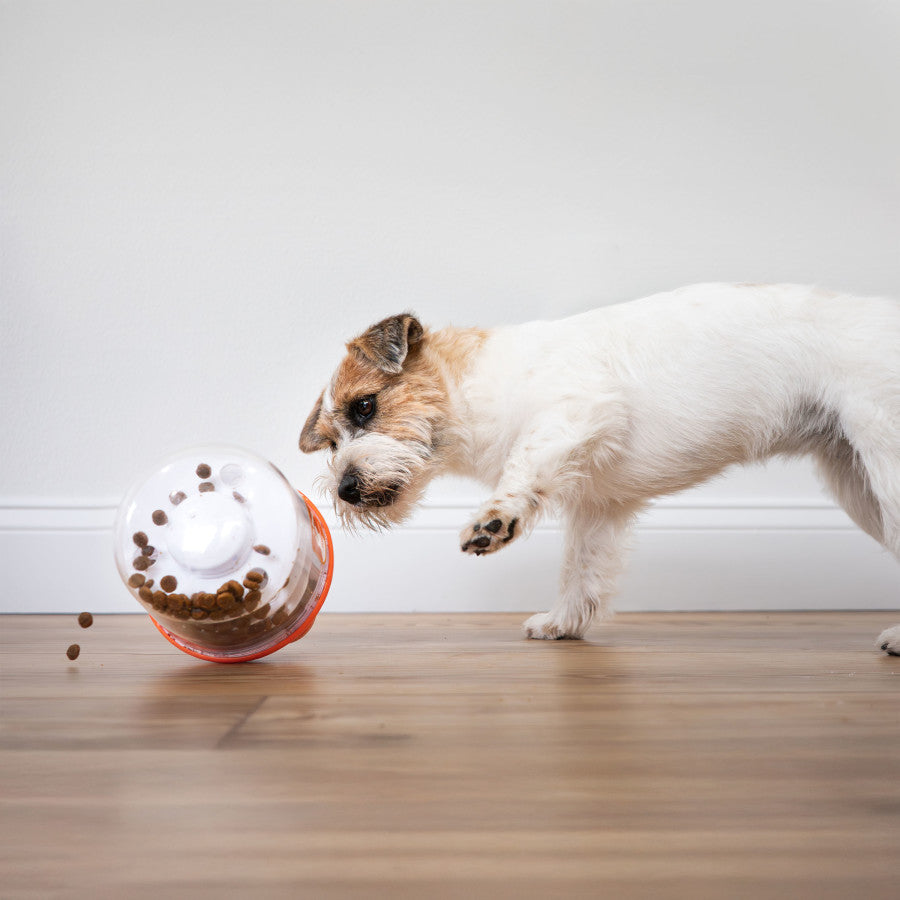 Nylabone Boop N Bobble Puzzle Treat Toy